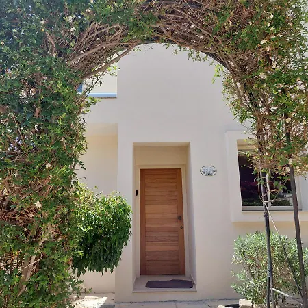 קורל ביי Villa Felix מראה חיצוני תמונה